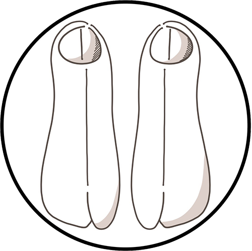 足袋(プレゼント)